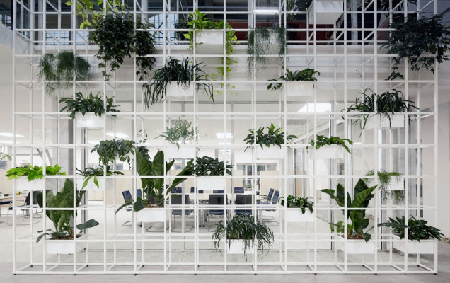 Zielone biuro, projekt biura, biurowe wnętrze, wnętrze publiczne, aranżacja biura, nowoczesne biuro, Lab5 Architects, przestrzeń biurowa, Wing Zrt, zielone wnętrze