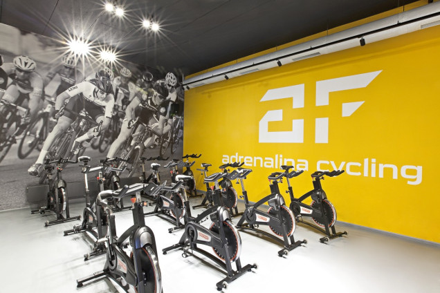 adrenalina, fitness club, silownia, projekt