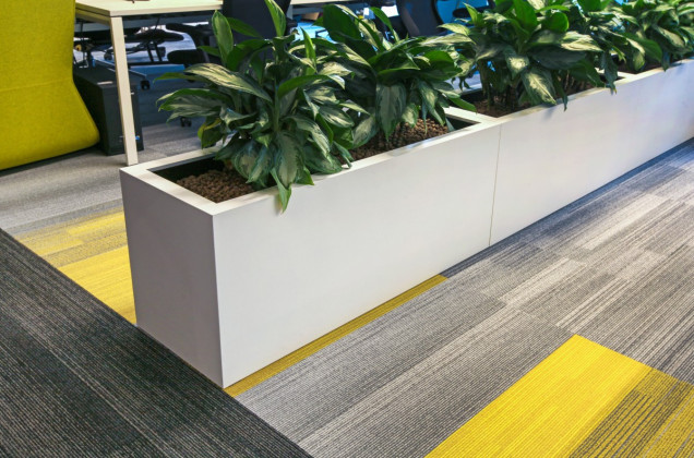 maxus, warszawa, workplace
