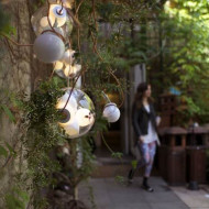 Omer Alber, kolekcja lamp 38, instalacja z lamp i roślin
