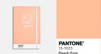 Peach Fuzz kolorem roku 2024 Pantone