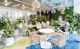 Biophilic design czyli pełna roślin aranżacja wnętrza biura Nordea